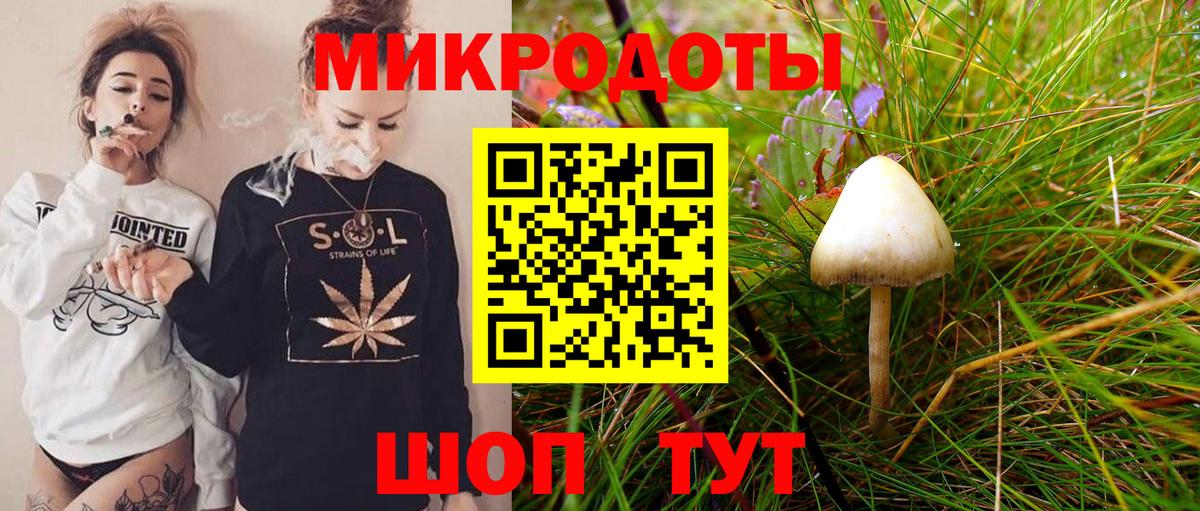 Нижний Новгород  Галлюциногенные грибы GOLDEN TEACHER  Вход с VPN 