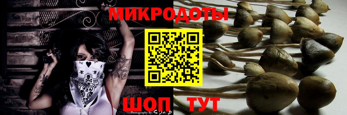 Галлюциногенные грибы прущие грибы Нижний Новгород