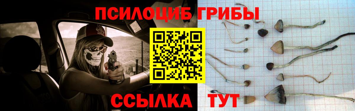 Меф МЯУ МЯУ   Гашиш  Канабис  Нижний Новгород  Купить  Вход с VPN  ЭКСТАЗИ 